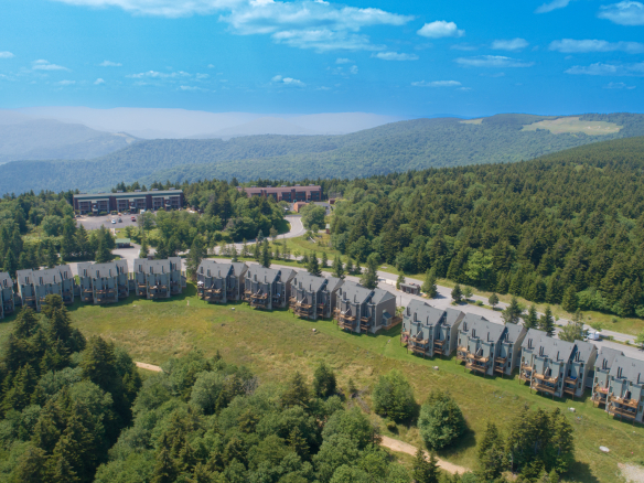 Snowshoe WV Real Estate