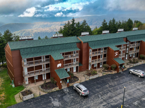 Snowshoe WV Real Estate