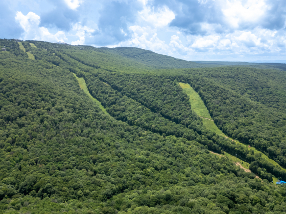 Snowshoe land for sale