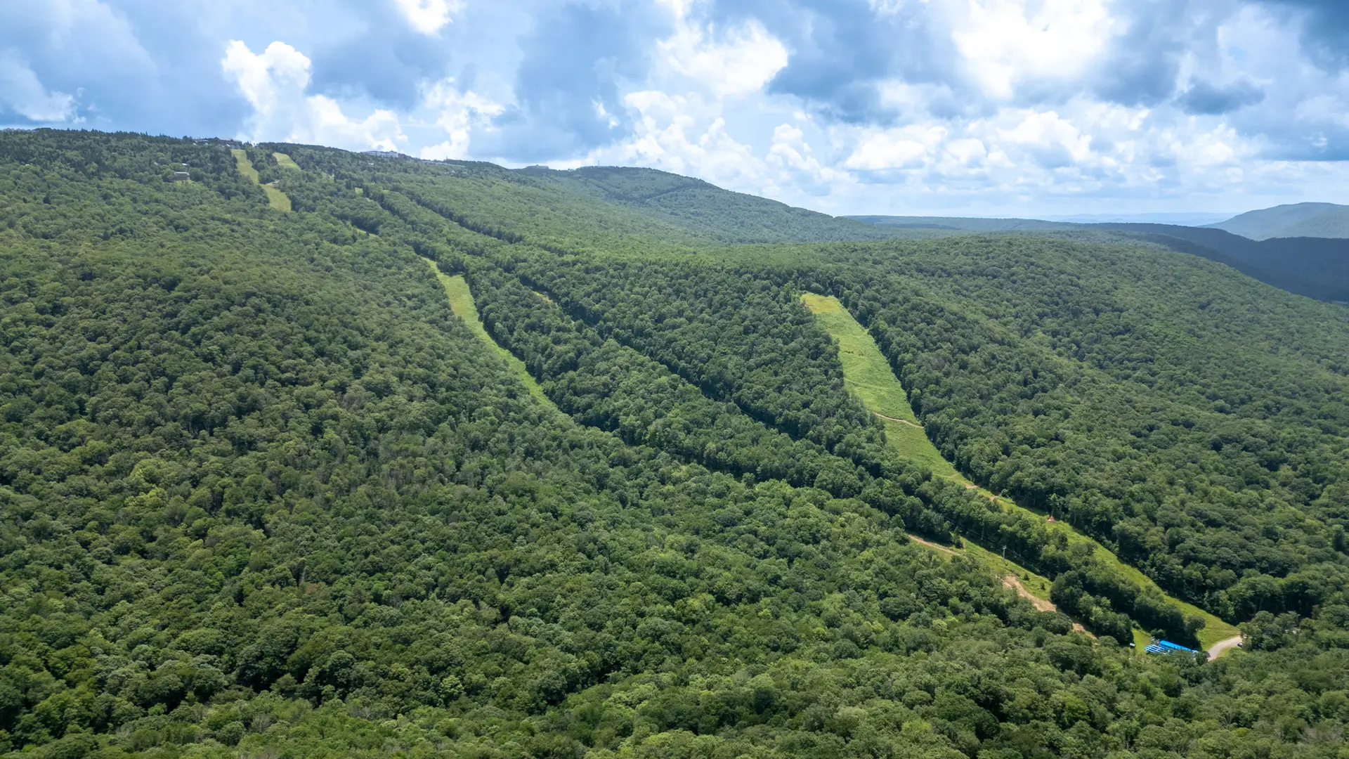 Snowshoe land for sale